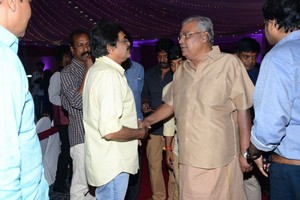 Celebrities at DVV Danayya Daughter Wedding Photos